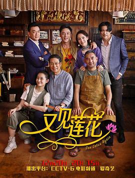 又见莲花封面图