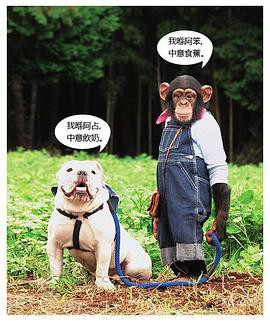 阿笨与阿占封面图