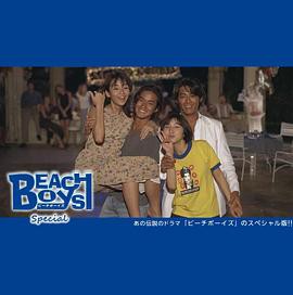 沙滩男孩 特别篇封面图