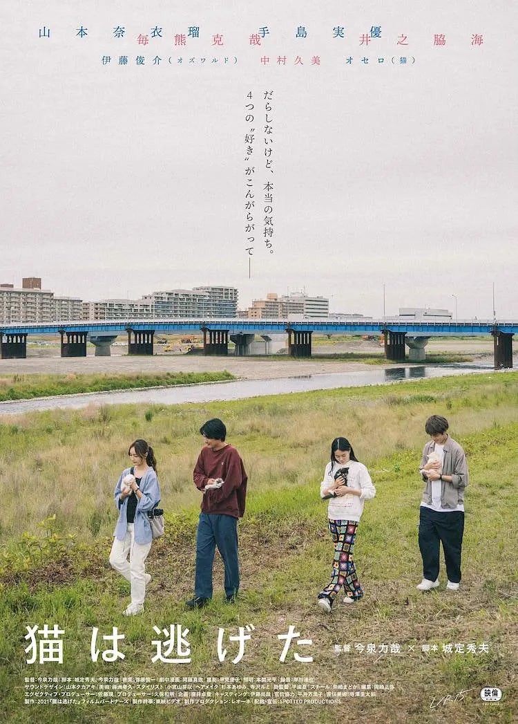 猫猫逃走了封面图