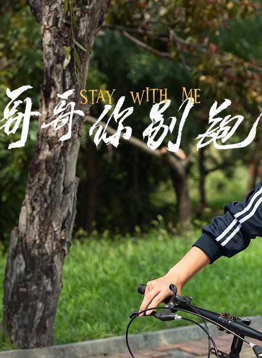 别叫我哥哥封面图