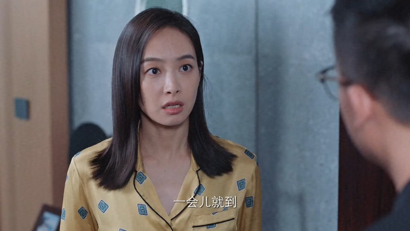 2021国剧《陌生的恋人》29集全.HD1080P.国语中字截图