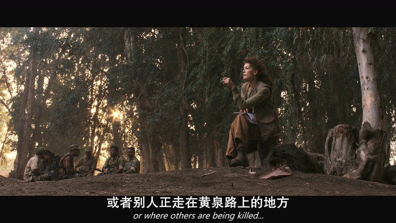 2018高分战争《私人战争》BD720P&BD1080P.英语中英双字截图