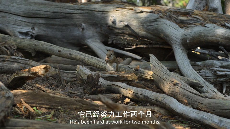 点击在新窗口打开