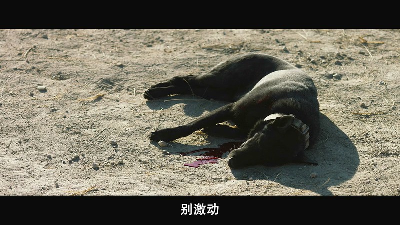 2019西班牙惊悚《恶劣天气》BD720P&BD1080P.西班牙语中字截图