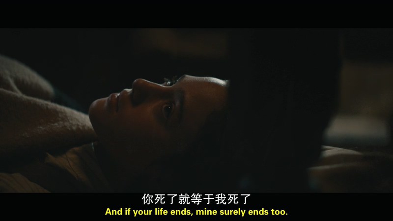 2019西部传记《比利小子》BD720P&BD1080P.英语中英双字截图