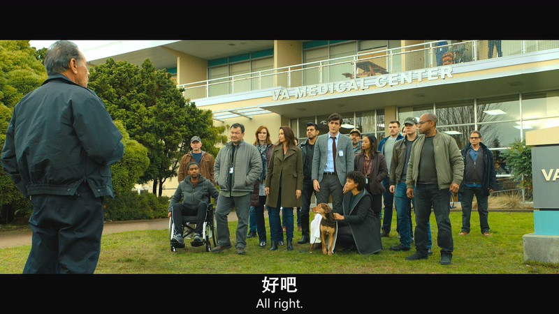 [BD-MP4]一条狗的回家路 / 贝拉400哩的约定(港) / 为了与你相聚(台) / A Dog's Way Home (2019)截图