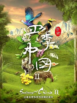 四季中国第二季粤语封面图