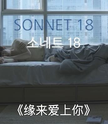 缘来爱上你封面图