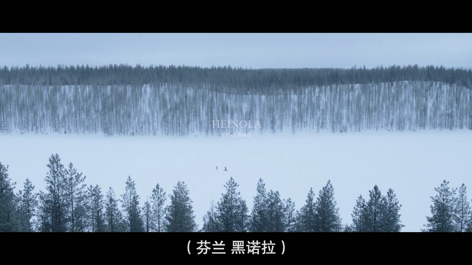 2022纪录短片《屏住呼吸：挑战冰潜纪录》HD1080P.英语中字截图