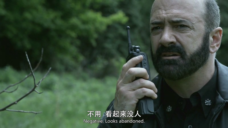 2016美剧《黑吃黑 第四季》8集全.BD1080P.英语中英双字截图