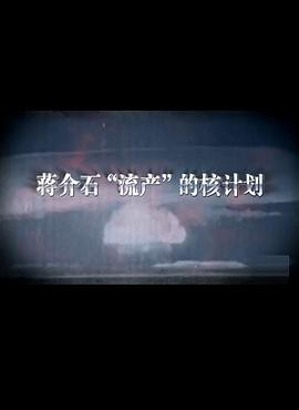 蒋介石流产的核计划封面图