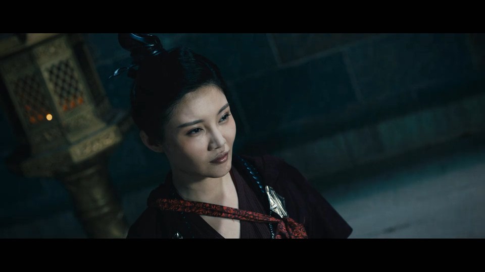 2021武侠动作《盗圣一枝梅》HD1080P.国语中字截图