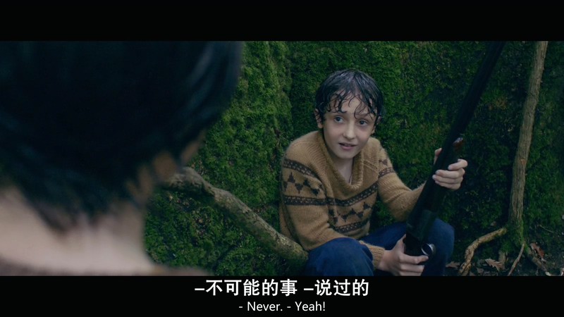 2018英国剧情《最后的夏天》HD720P&HD1080P.英语中英双字截图