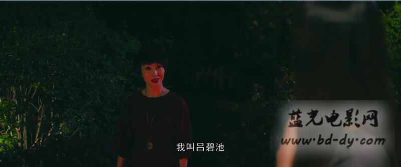 《死亡笔记》2016国产悬疑惊悚.HD720P.国语中字截图