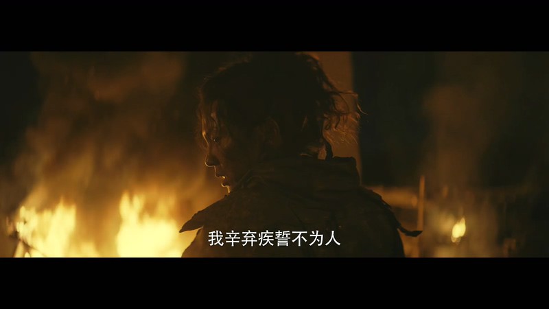 2020古装动作《辛弃疾1162》HD1080P.国语中字截图