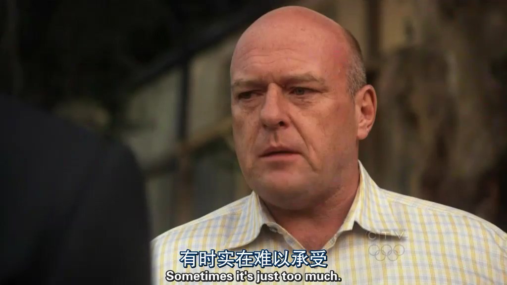2009犯罪悬疑《犯罪心理第五季》23集全.HD1080P.英语中英双字截图