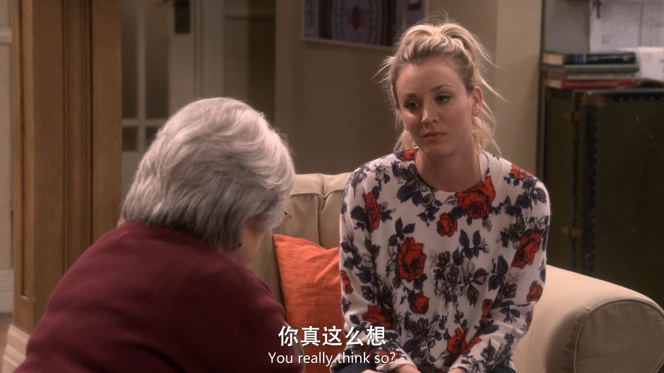 生活大爆炸 第十二季剧照