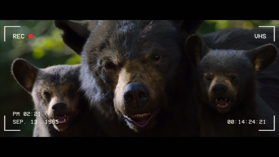 2023惊悚喜剧《熊嗨了》HD1080P.英语中字截图