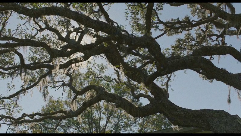 2019美国剧情《悟》HD720P&HD1080P.英语中英双字截图