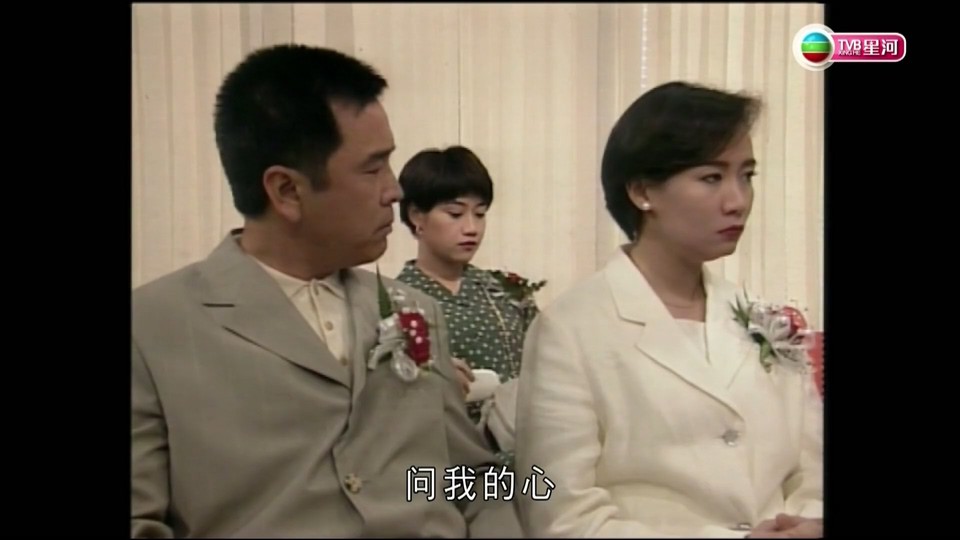 1995港剧《天降奇缘 国语》20集全.HD1080P.国语中字截图