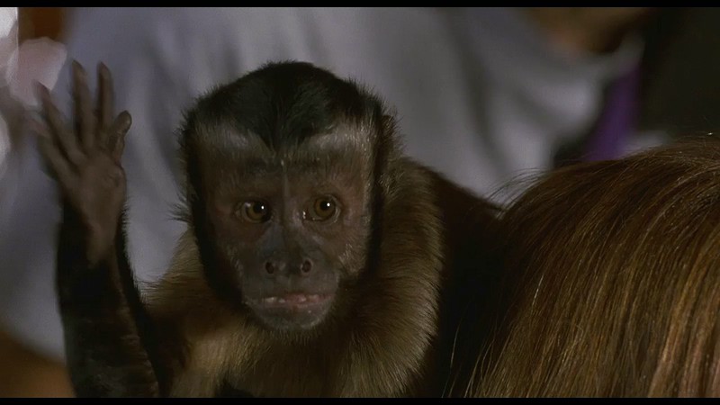 1999爱情喜剧《美国派》BD720P.英语中字截图;jsessionid=avnafpTFh5gcCbrn_dUBZl0kZEdnuklKEYl7UCV7