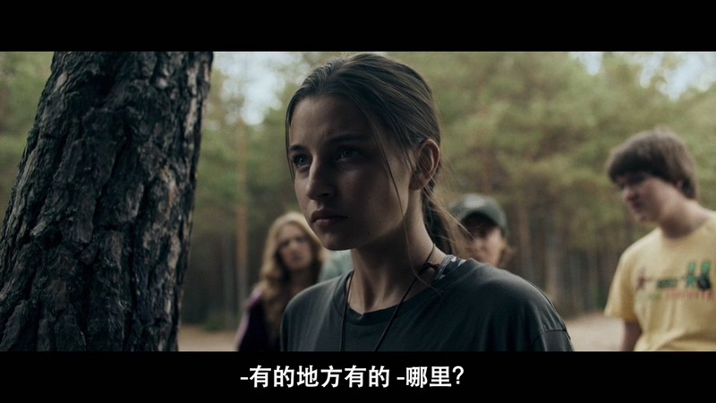 2020波兰恐怖《今夜林中无人入睡》HD720P&HD1080P.波兰语中字截图