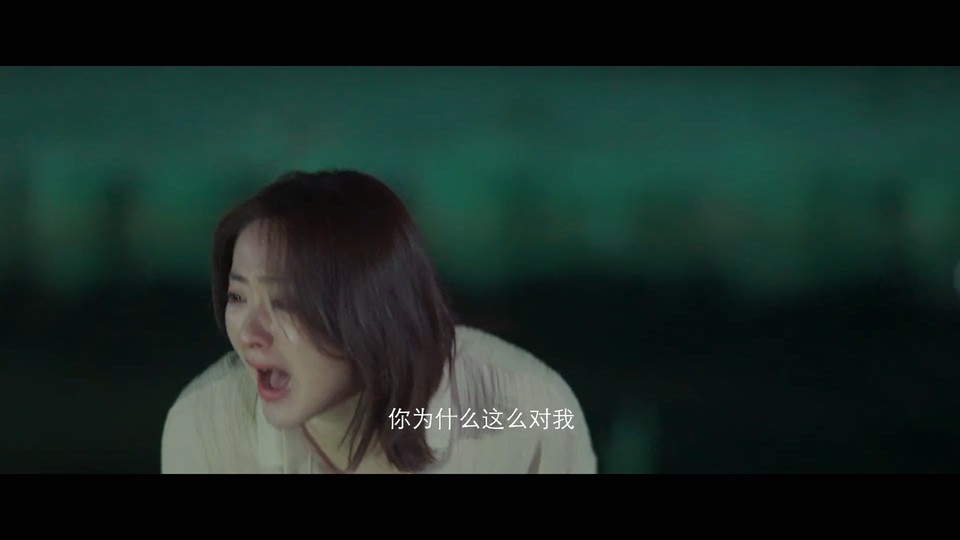 2021国剧《妻子的反攻》24集全.HD1080P.国语中字截图