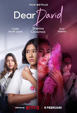 亲爱的大卫印尼版封面图