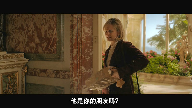 2020爱情悬疑《蝴蝶梦》HD720P&HD1080P.英语中字截图