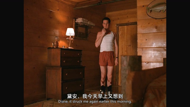 1990高分美剧《双峰 第一季》8集全.BD1080P.英语中英双字截图