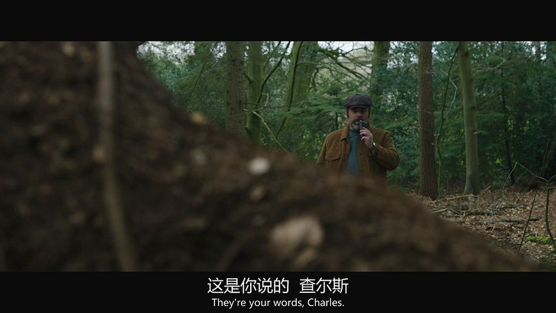 2017高分恐怖《鬼故事》BD720P.英语中英双字截图