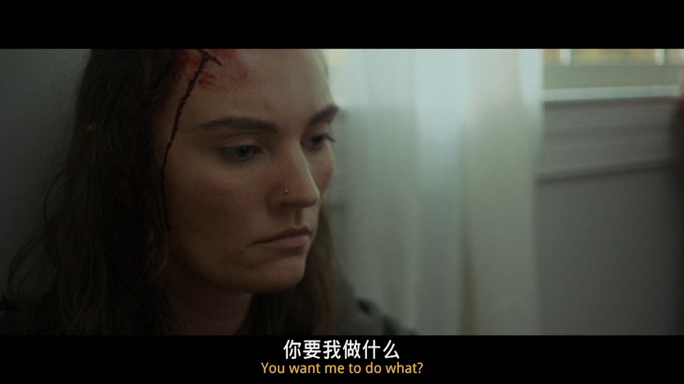 2022动作惊悚《美国围攻》BD1080P.英语中英双字截图
