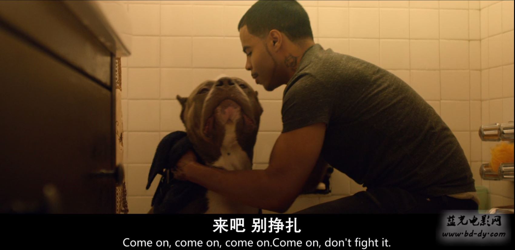 《曝光》2016基努里维斯.BD720P.高清中英双字截图