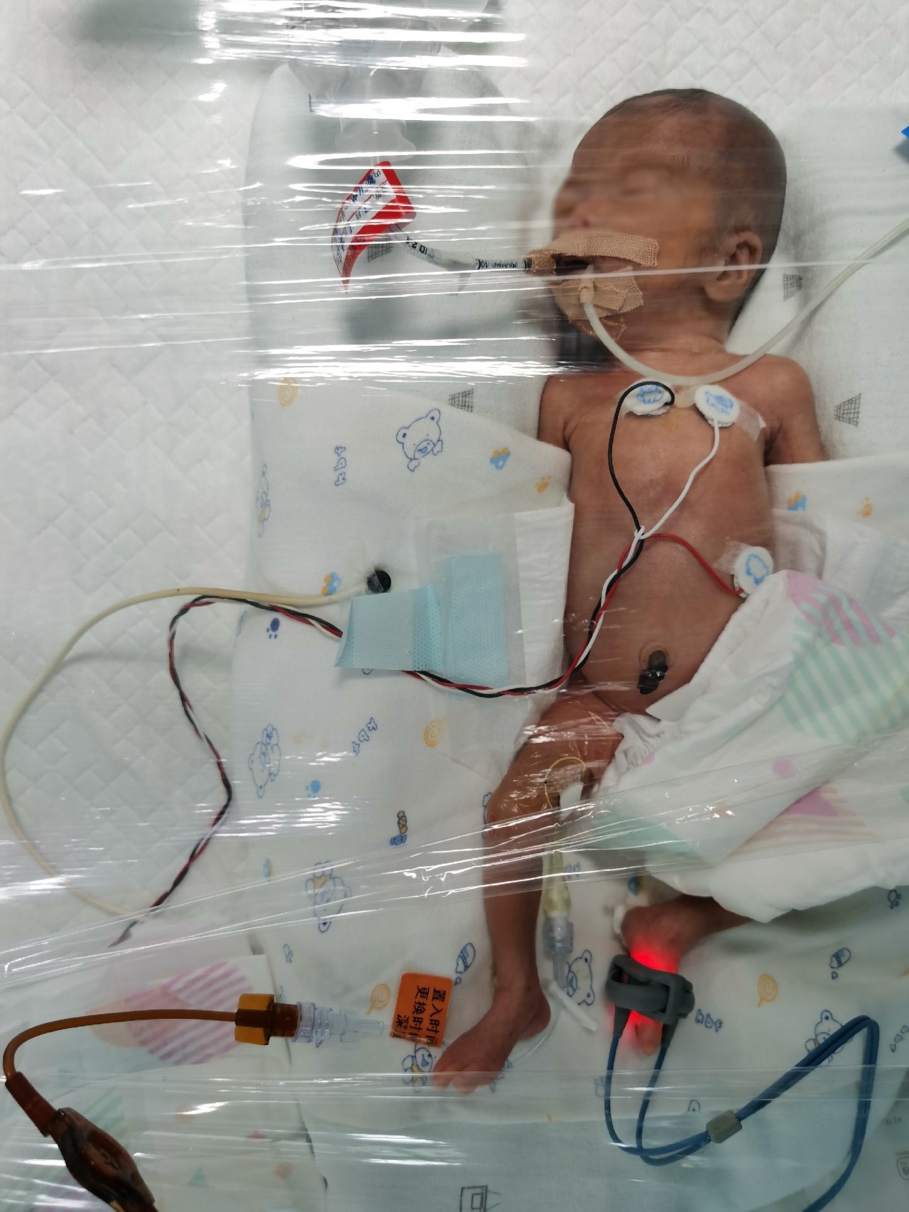 aHR0cHM6Ly9tbWJpei5xbG9nby5jbi9tbWJpel9w