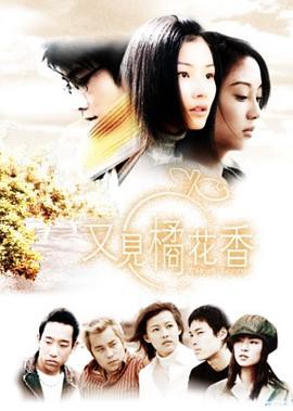 又见橘花香封面图