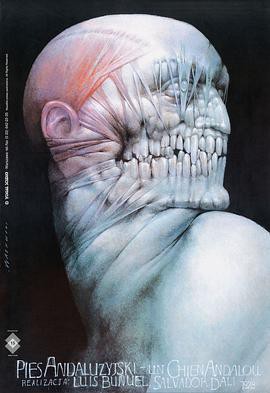 一条叫安达鲁狗封面图