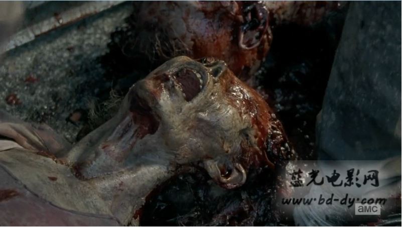 《行尸走肉.第六季全集》2015美国恐怖剧情.HD1080P.中英双字截图