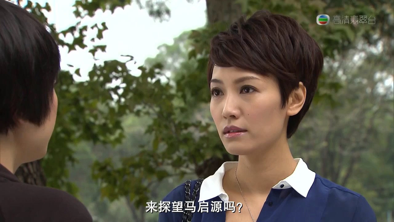 《忠奸人》30集全.2014TVB悬疑剧情.HD720P.国粤双语截图