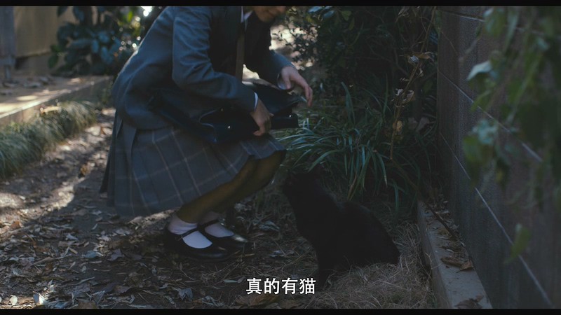 2020日剧《咒怨：诅咒之家》6集全.HD1080P.日语中字截图