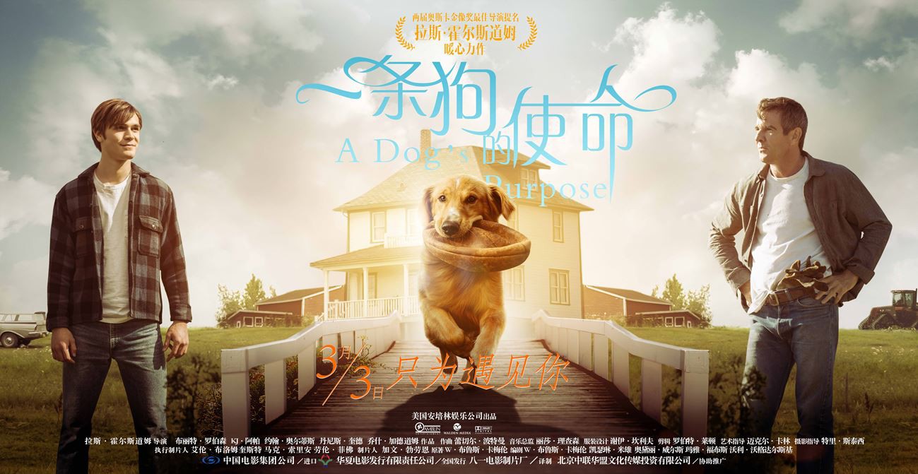 《一条狗的使命》2017高分家庭喜剧.BD1080P.高清中字截图