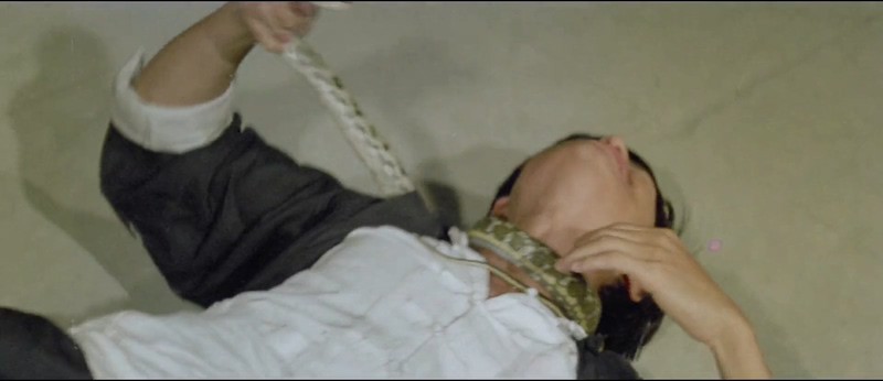 1974动作冒险《蛇犬大英雄》HD1080P.国语无字截图
