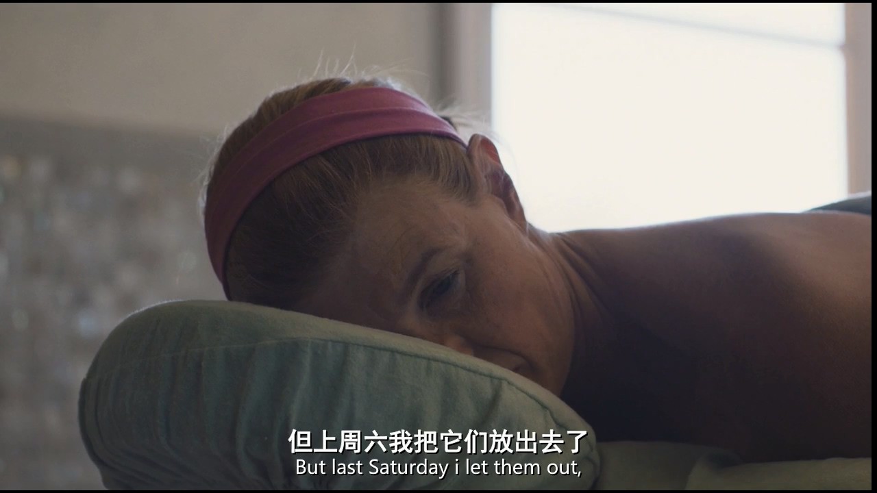 《晚宴上的比特丽兹》2017美国喜剧.HD720P&HD1080P.中英双字截图
