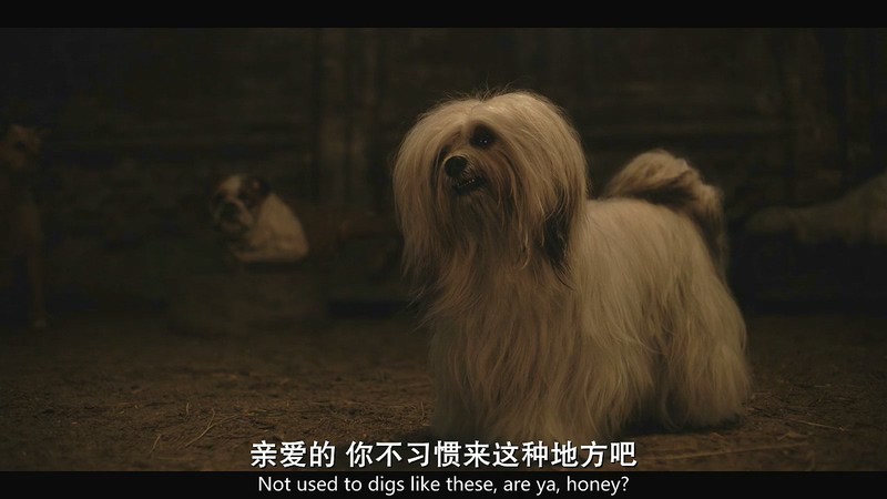 2019动画喜剧《小姐与流浪汉》HD720P.英语中英双字截图;jsessionid=uu5KsCko8fY2rY_rk1FQ-9uZrH5HGPgkgF4iCOtl