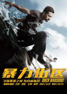 暴力街区2014封面图