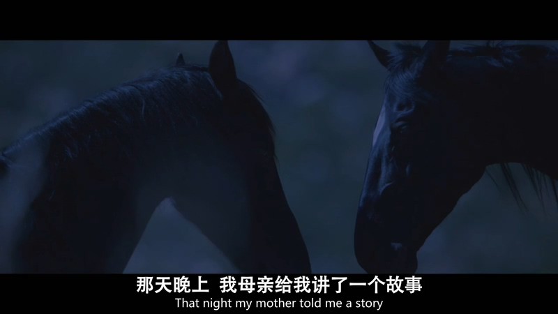 2020美国剧情《黑神驹》HD720P&HD1080P.英语中英双字截图