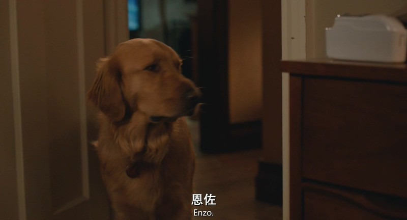 2019高分喜剧《我在雨中等你》BD720P&BD1080P.英语中英双字截图