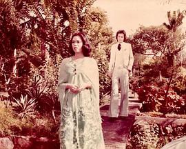 片断粤语封面图