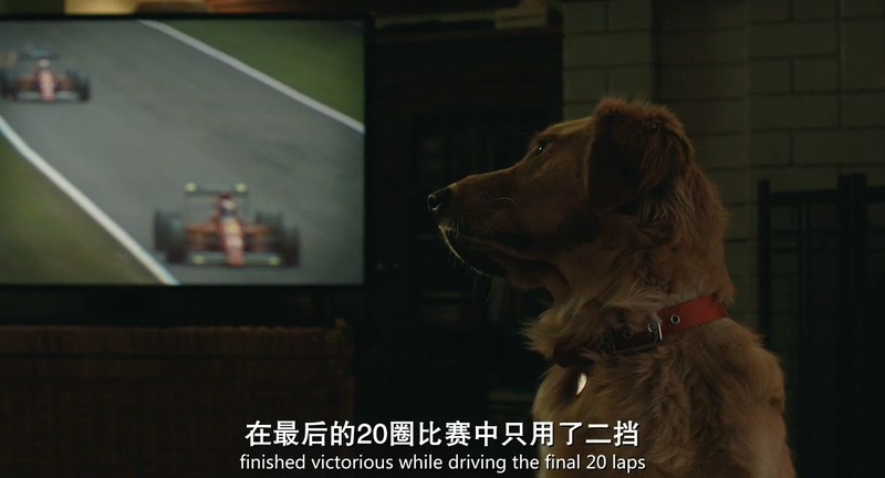 2019高分喜剧《我在雨中等你》BD720P&BD1080P.英语中英双字截图