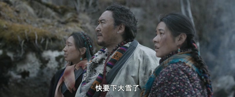 2019高分剧情《我的喜马拉雅》HD1080P.国语中字截图